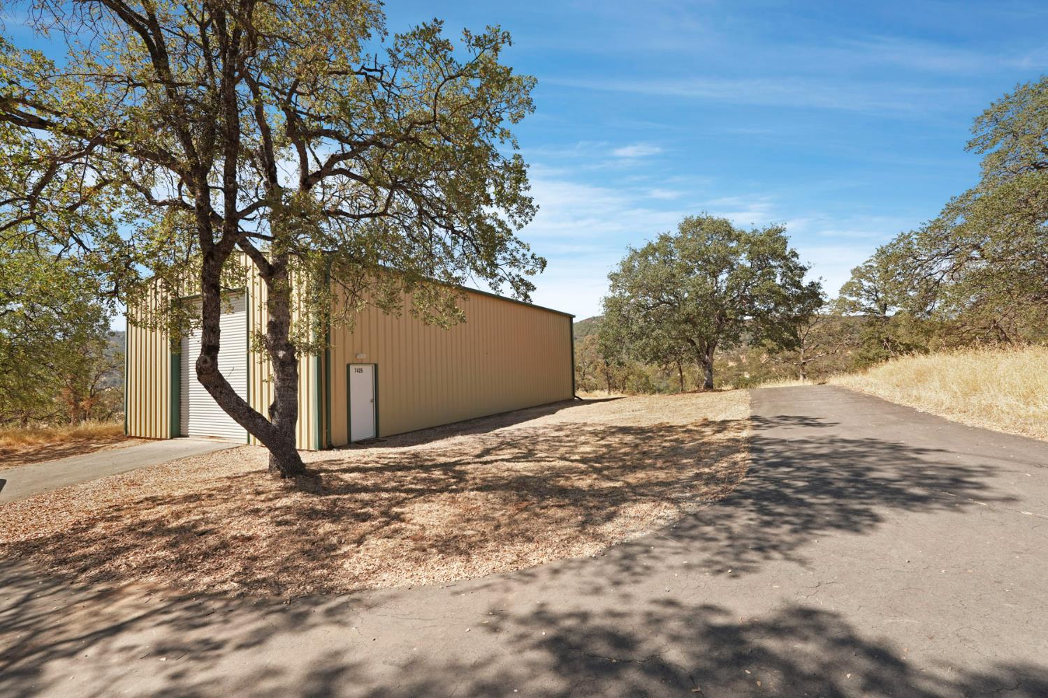 7425 Cincha Street Angels Camp, CA 95222 - Photo 5 of 29 a backyard of a house with large trees