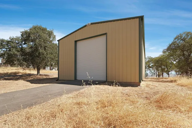 a view of a yard with a large tree