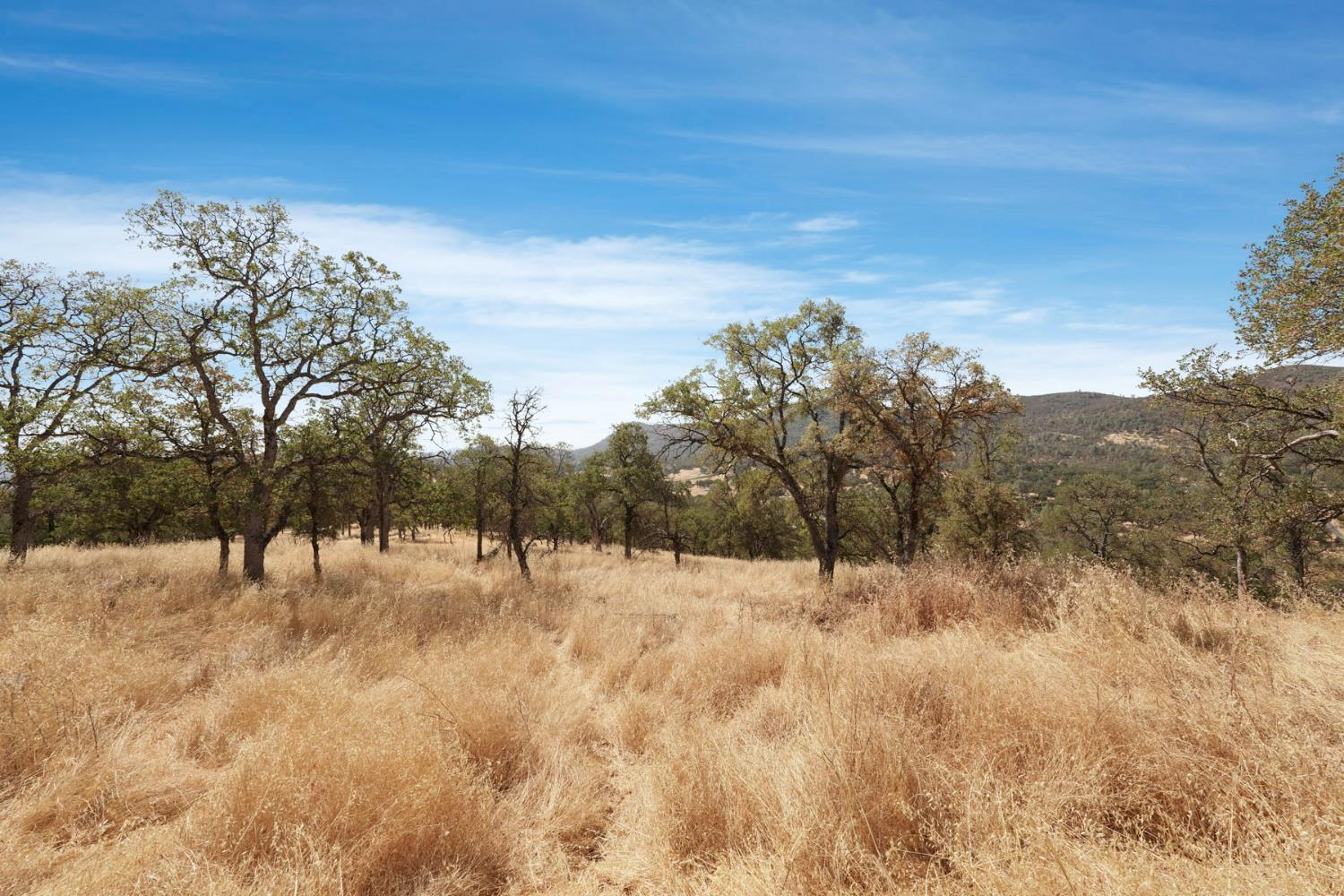 7425 Cincha Street Angels Camp, CA 95222 - Photo 10 of 29