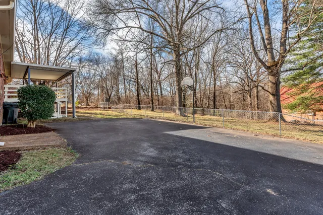 a view of dirt yard with large trees