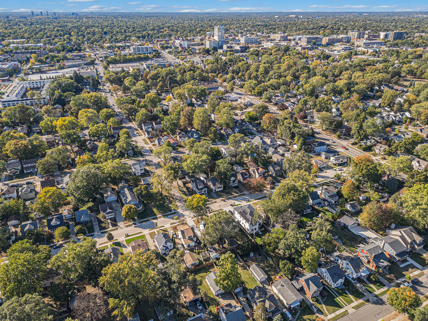 1007 Mohawk Avenue Royal Oak, MI 48067 - Photo 36 of 36 029_dji_0418_910
