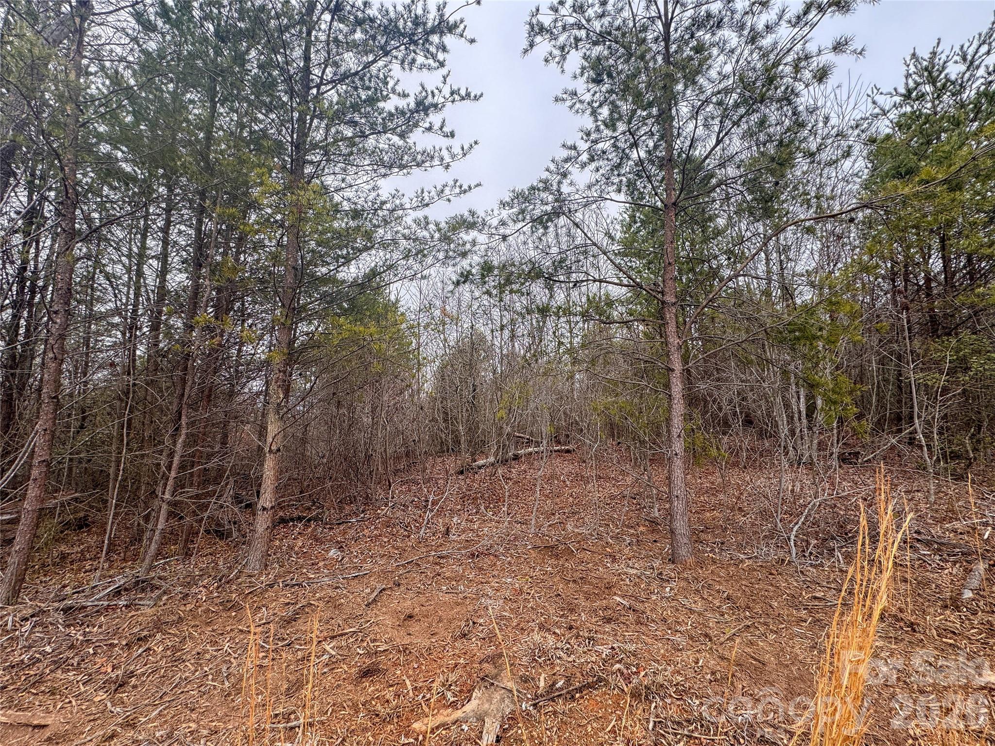 0 Baugess Mill Road Traphill, NC 28685 - Photo 14 of 29