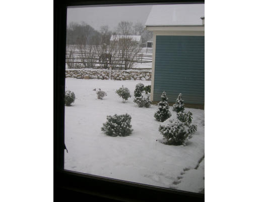 20 Rhodes Street Plainville, MA 02762 - Photo 8 of 17 Gallery Image 8