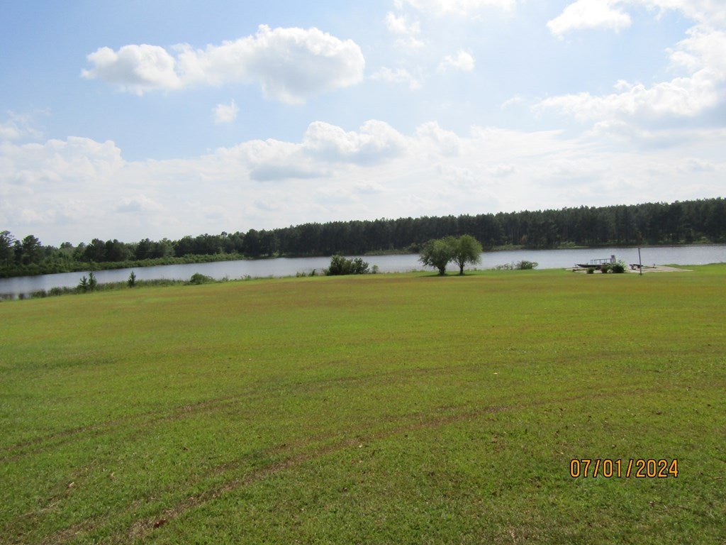 311 Lakeshore Road Pelham, GA 31779 - Photo 6 of 9 Gallery Image 6
