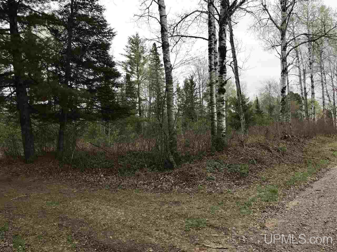 40-ac Kelso Road Crystal Falls, MI 49920 - Photo 18 of 21