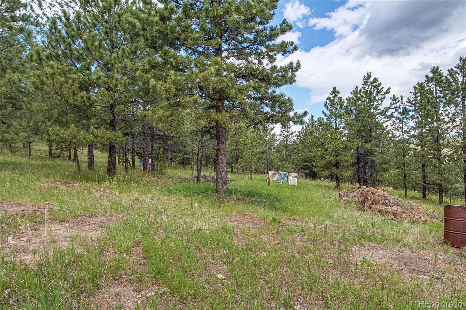 73 Ranchettes Road Bailey, CO 80421 - Photo 36 of 40