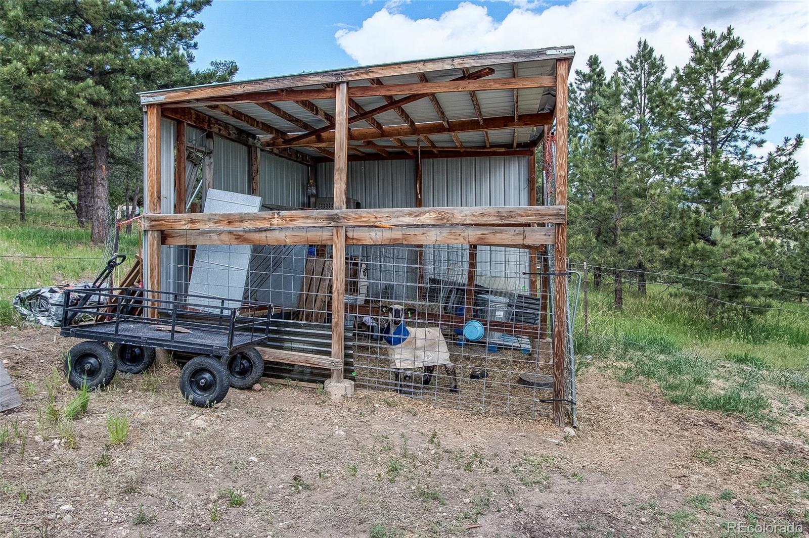 73 Ranchettes Road Bailey, CO 80421 - Photo 38 of 40