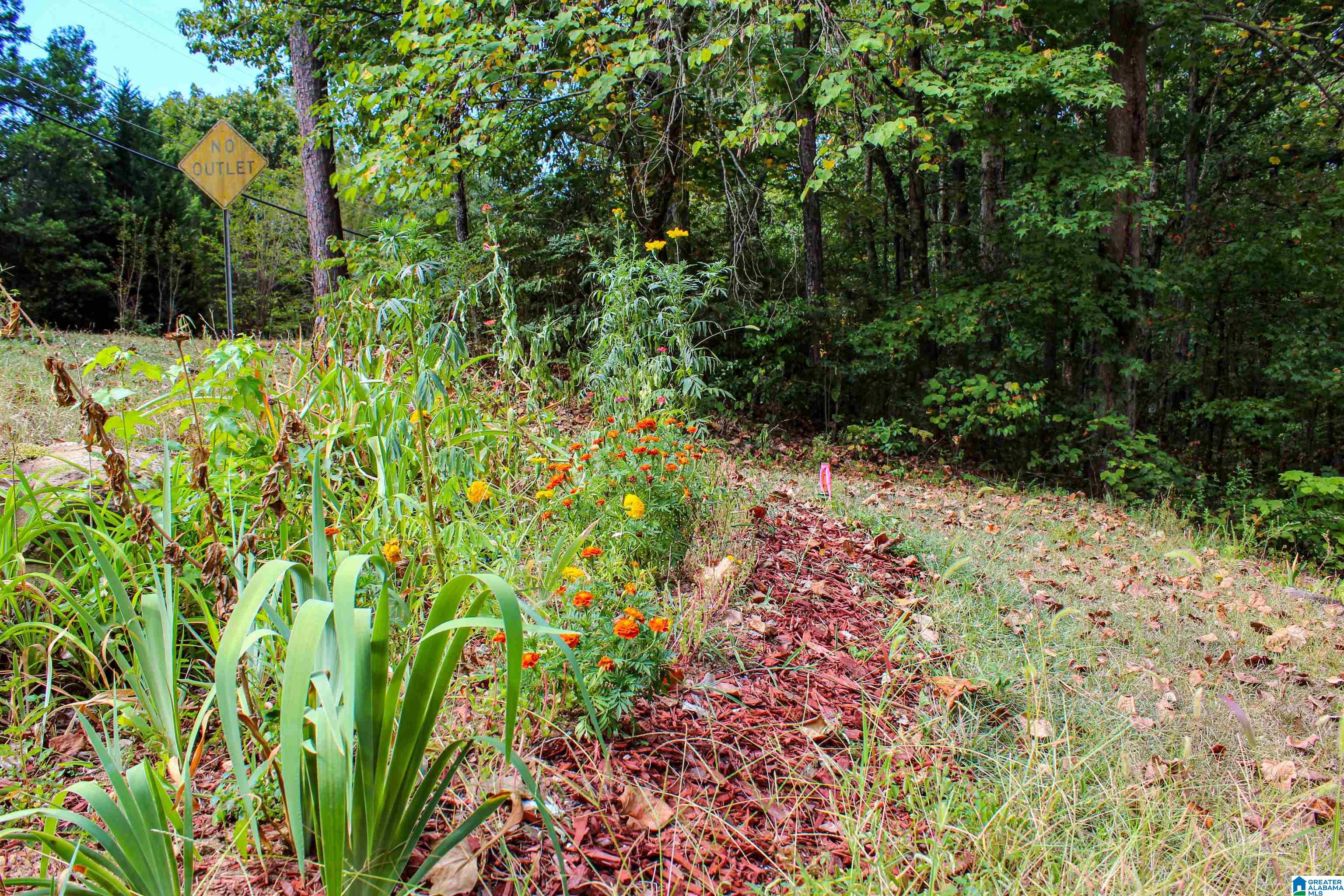 2266 Mountain View Road, Unit 1 Birmingham, AL 35210 - Photo 26 of 30