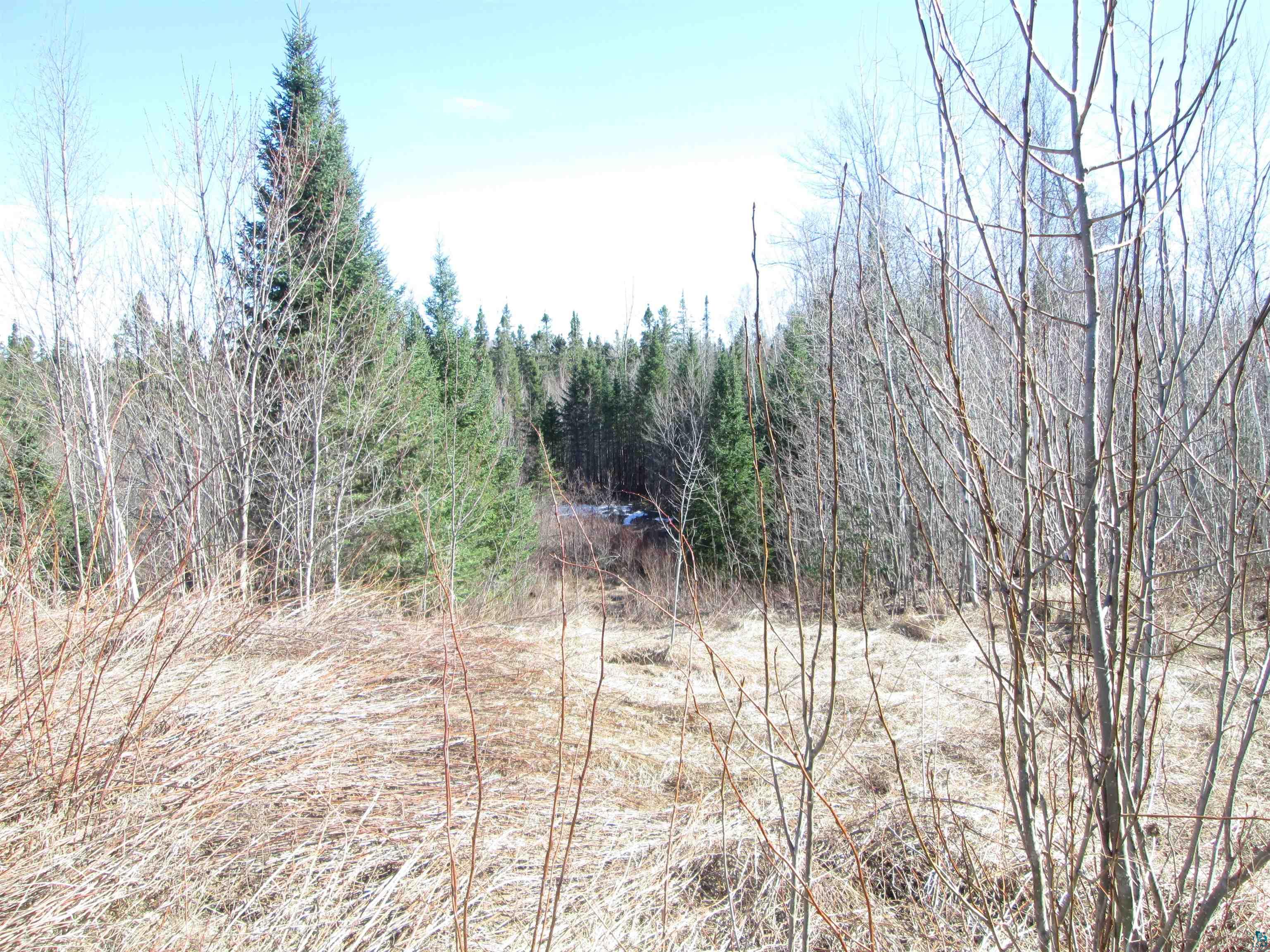 Lot 2-40 Acres County Road South Range, WI 54874 - Photo 31 of 39 Gallery Image 31