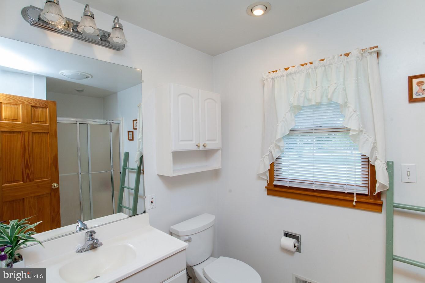 1604 Chestnut Ridge Road Upper Black Eddy, PA 18972 - Photo 36 of 51 Primary bathroom