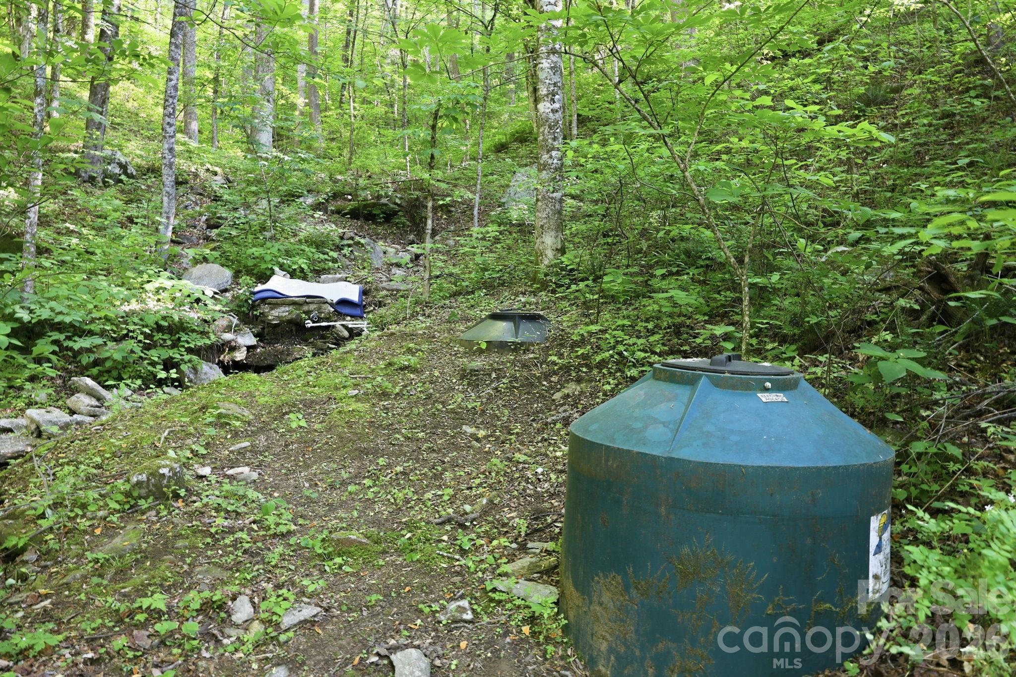98 Sparkling Springs Road Fairview, NC 28730 - Photo 41 of 48