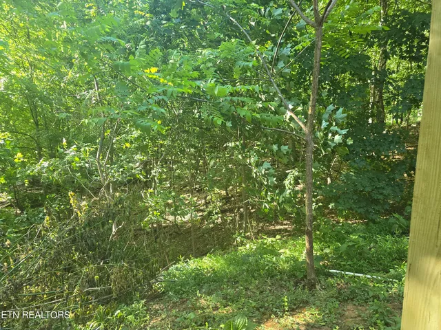 $380,000 | 3238 4 M Circle, Kodak, TN 37764