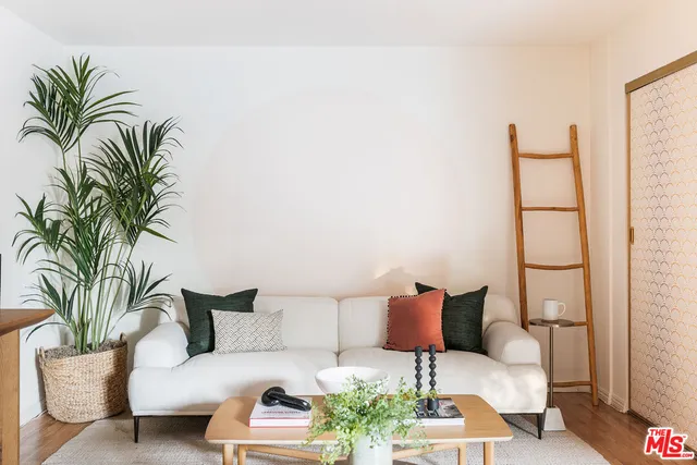 a living room with furniture and a potted plant