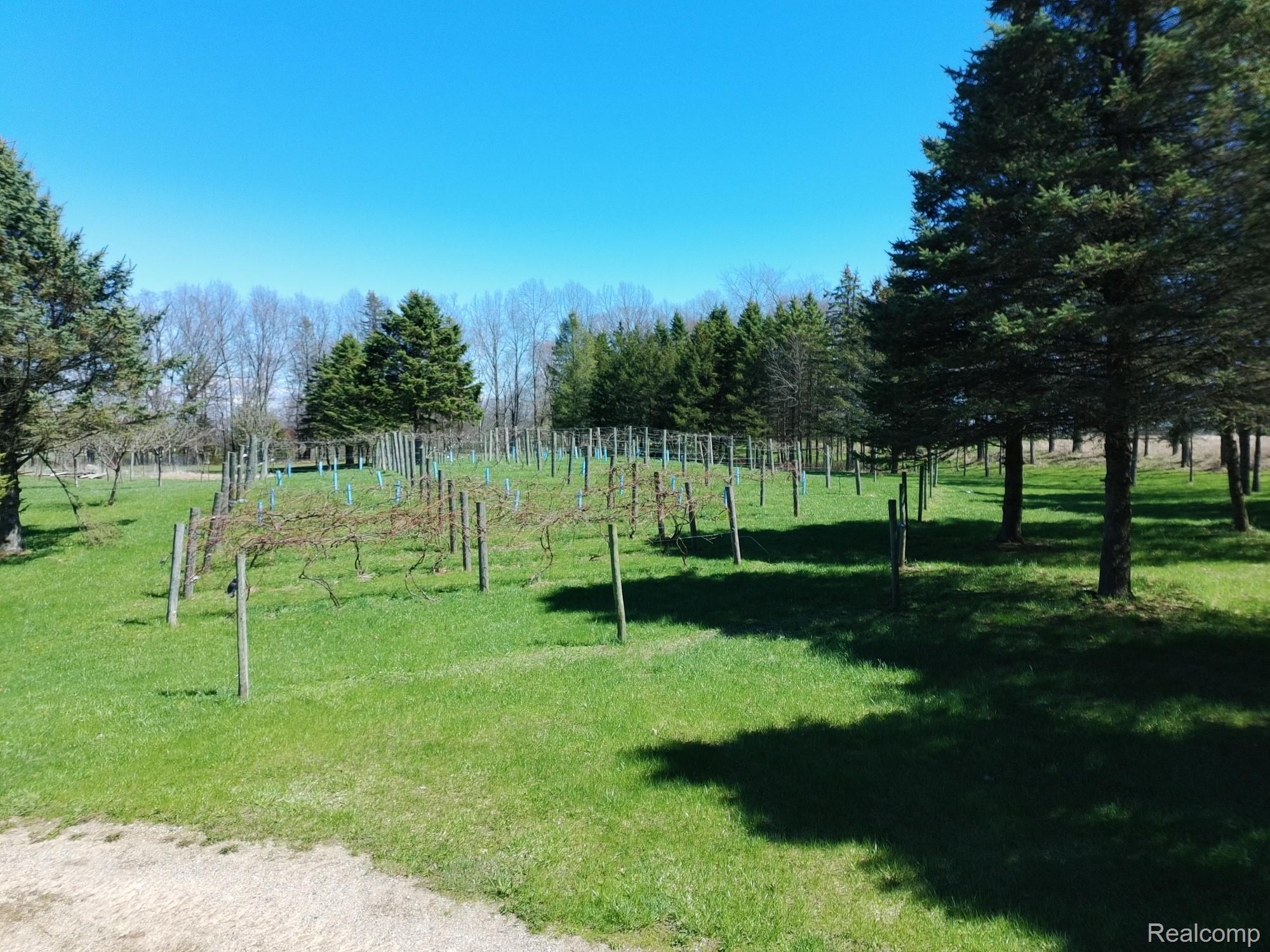 5785 Baldwin Road Oxford, MI 48371 - Photo 69 of 80 _app_sd_ATOM_001_DCIM_PTSC_0189.JPG