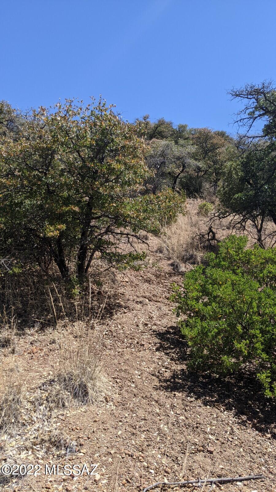 Tbd Adams Avenue, Unit MULTIPL Bisbee, AZ 85603 - Photo 6 of 35