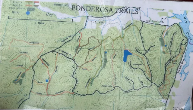 $499,000 | 576 Ridgeway Drive, Sugar Tree, TN 38380