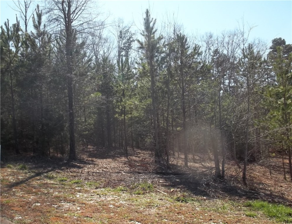 502 Moonlight Bay Seneca, SC 29672 - Photo 1 of 10