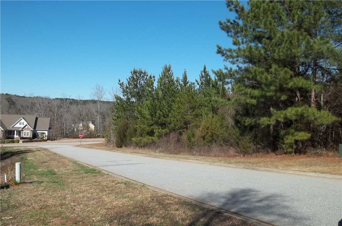 502 Moonlight Bay Seneca, SC 29672 - Photo 3 of 10