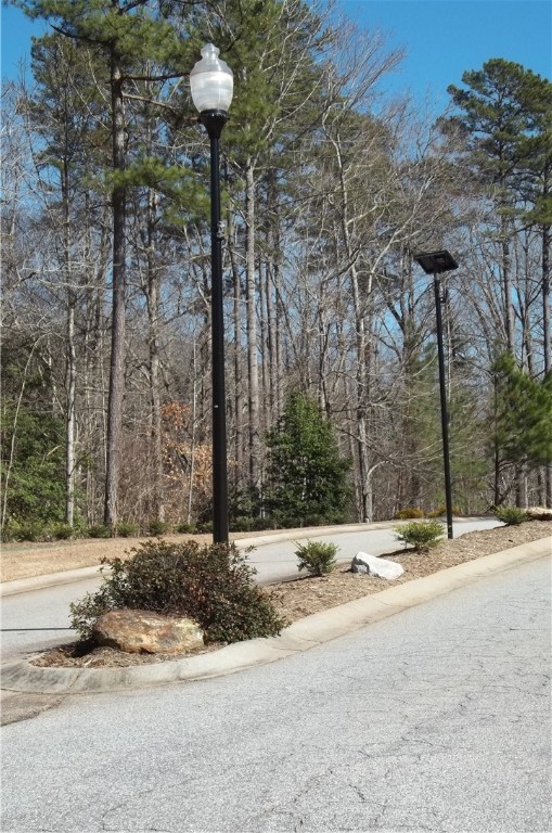 502 Moonlight Bay Seneca, SC 29672 - Photo 5 of 10 Street lights and center island entranceway