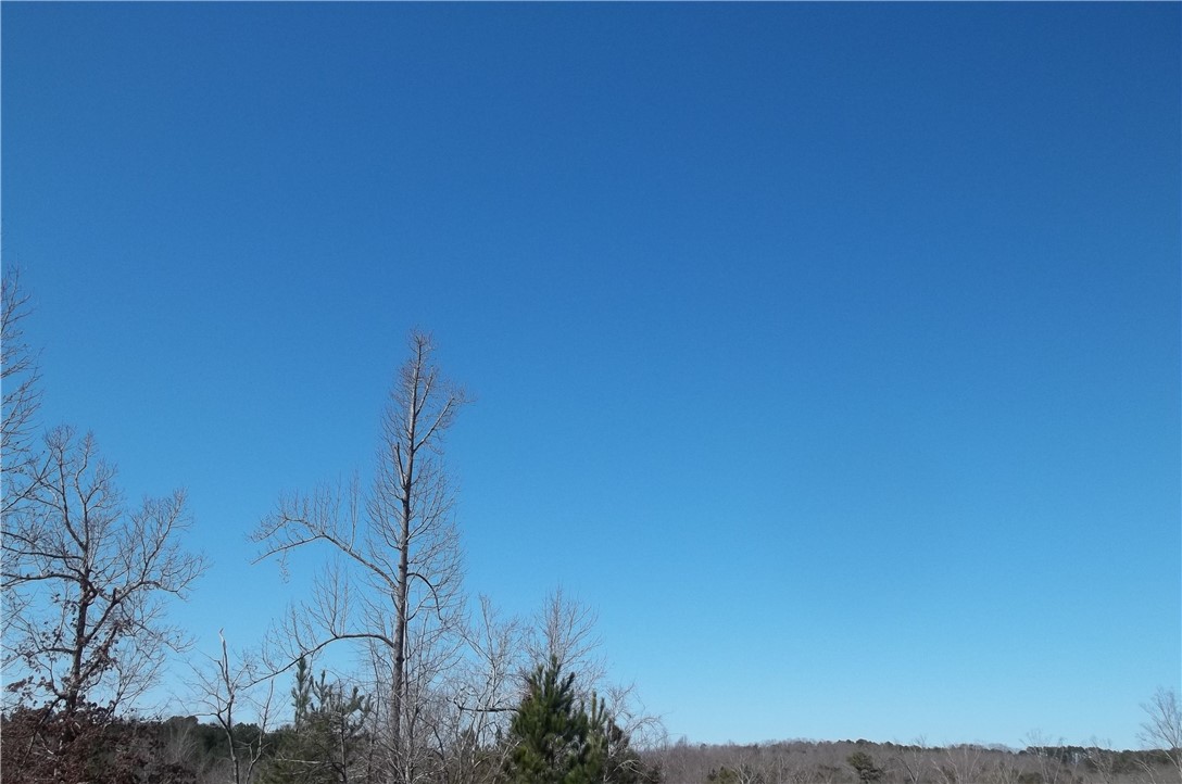 502 Moonlight Bay Seneca, SC 29672 - Photo 6 of 10