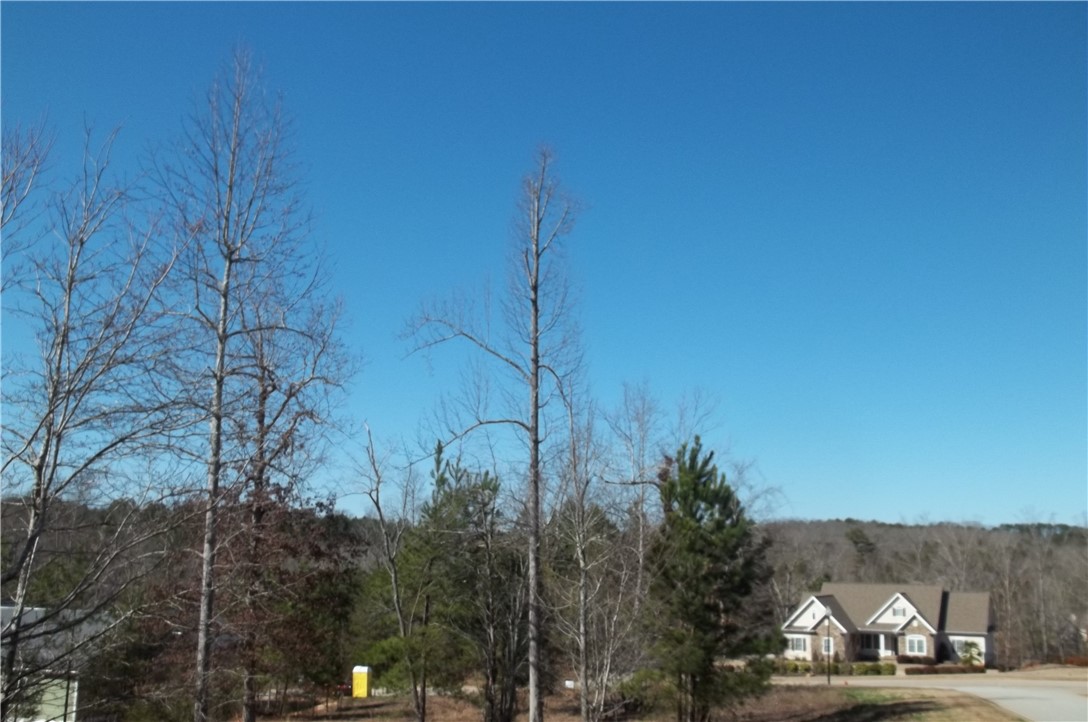 502 Moonlight Bay Seneca, SC 29672 - Photo 7 of 10