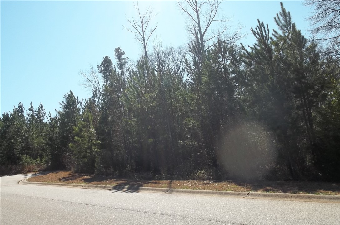 502 Moonlight Bay Seneca, SC 29672 - Photo 9 of 10