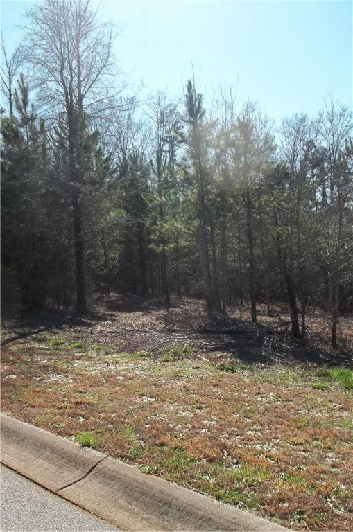 502 Moonlight Bay Seneca, SC 29672 - Photo 10 of 10