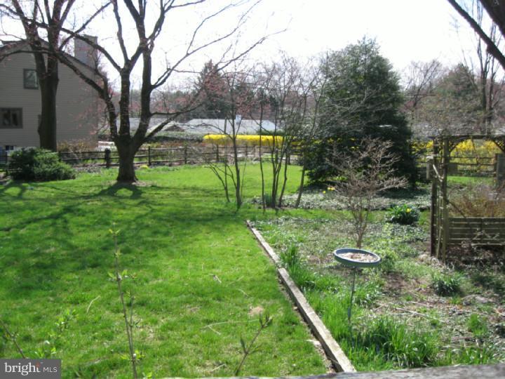 Side Yard