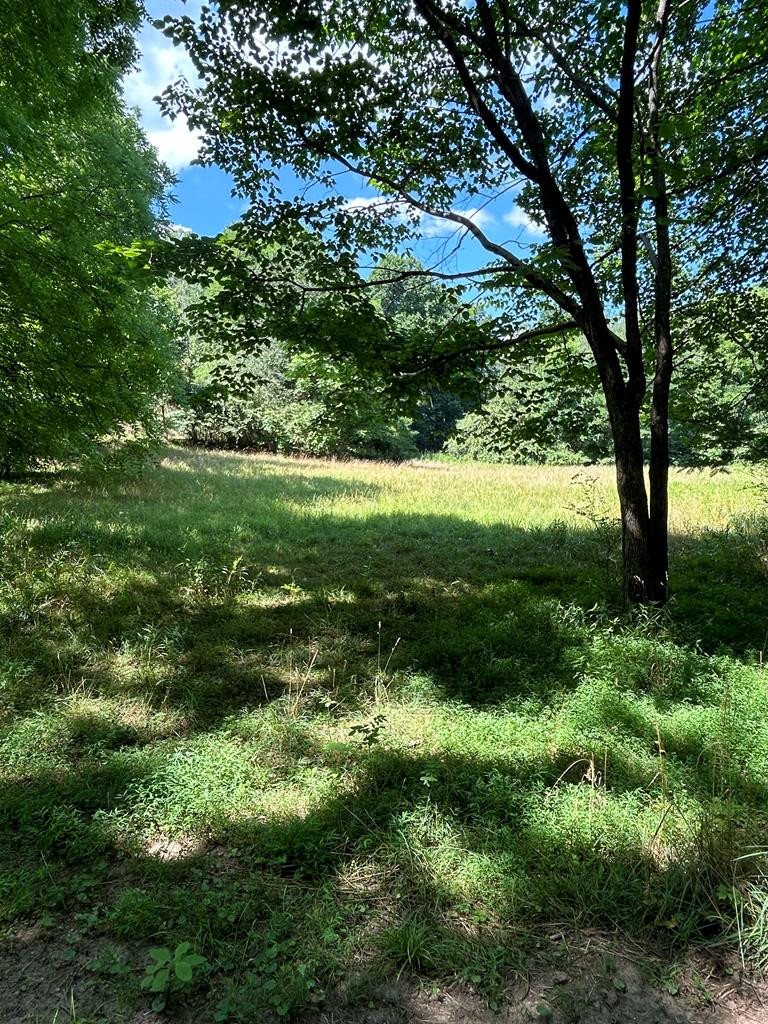 0 Wehutty Road Murphy, NC 28906 - Photo 1 of 3 Main View