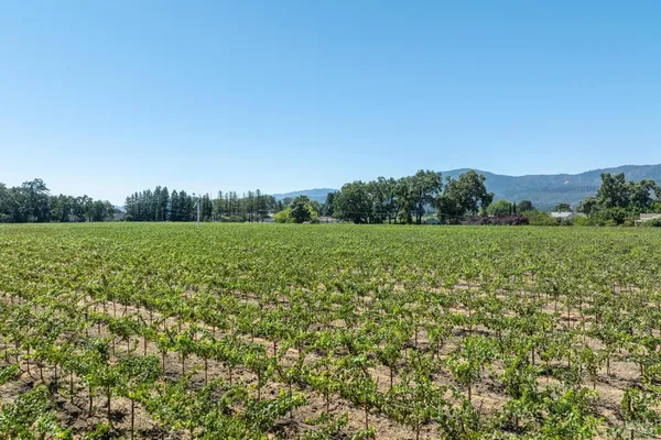 $8,500,000 | 79 Zinfandel Lane, St. Helena, CA 94574