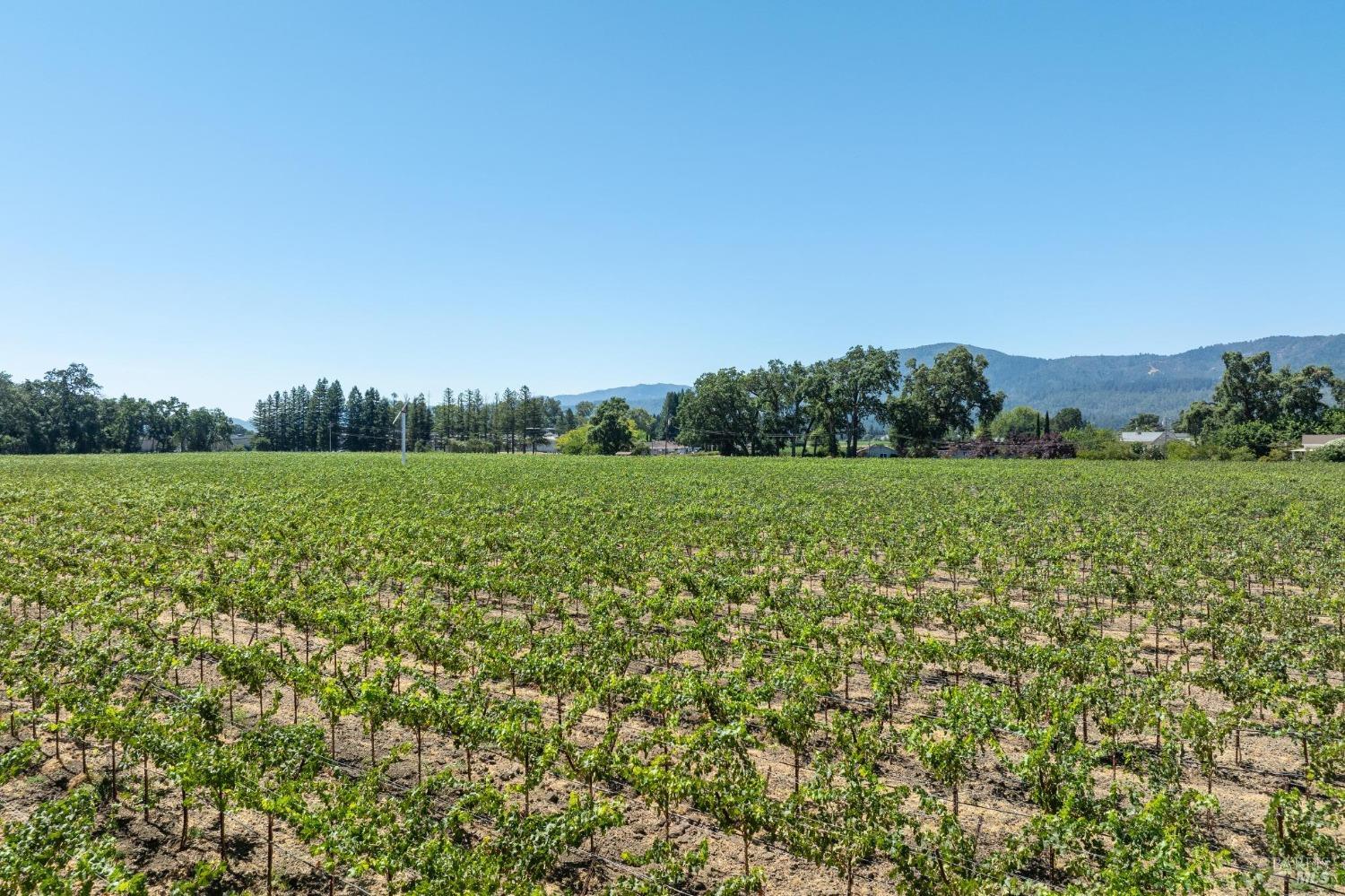 79 Zinfandel Lane St. Helena, CA 94574 - Photo 2 of 9