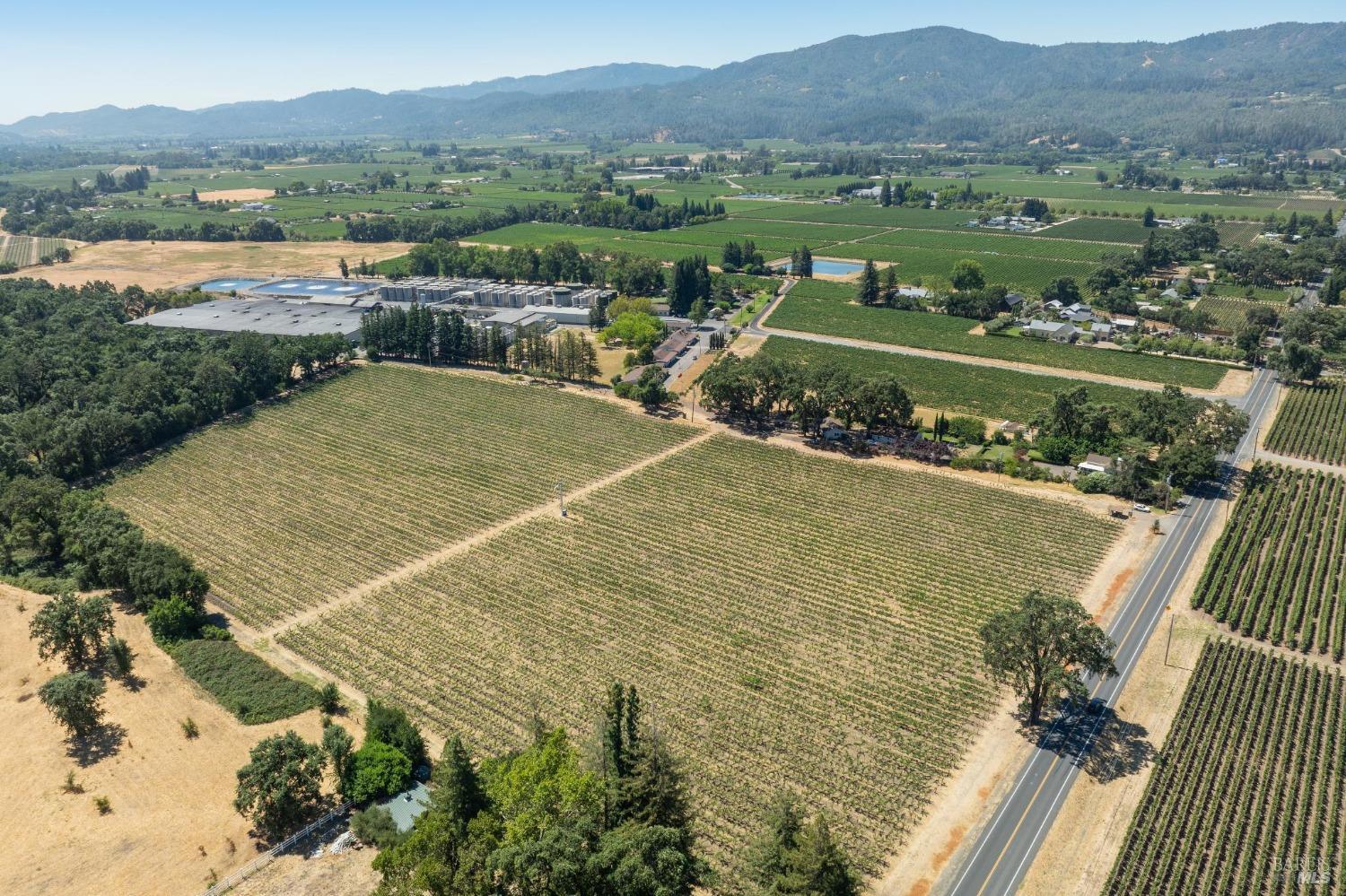 79 Zinfandel Lane St. Helena, CA 94574 - Photo 3 of 9