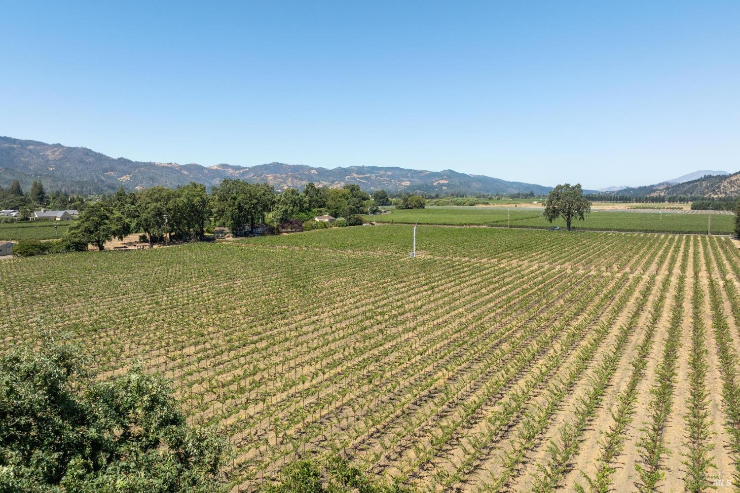 79 Zinfandel Lane St. Helena, CA 94574 - Photo 7 of 9