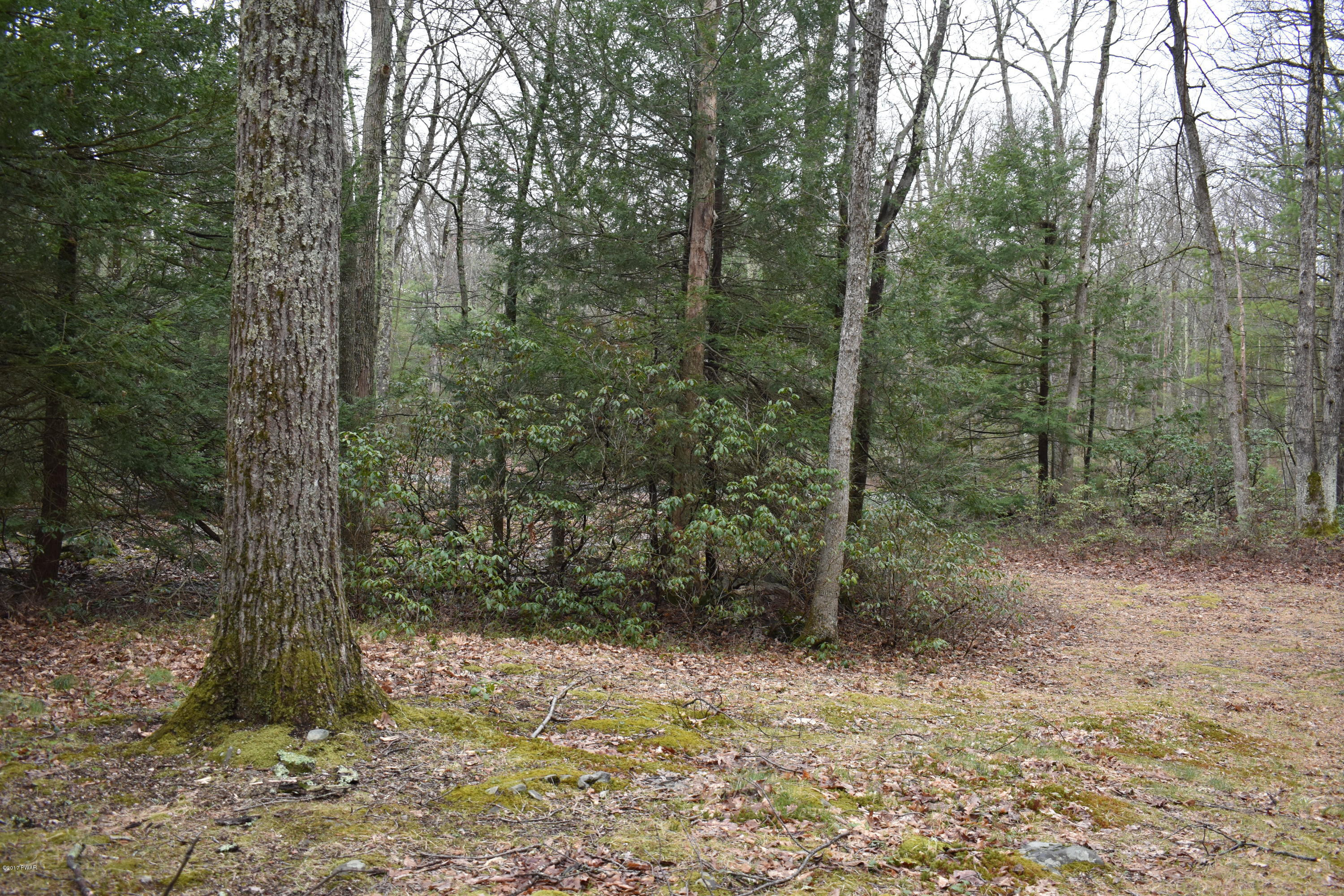 5 Mile Meadow Road Hawley, PA 18428 - Photo 5 of 15
