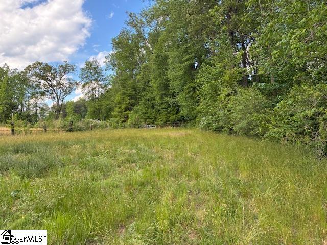 411 Dill Road Campobello, SC 29322 - Photo 9 of 18
