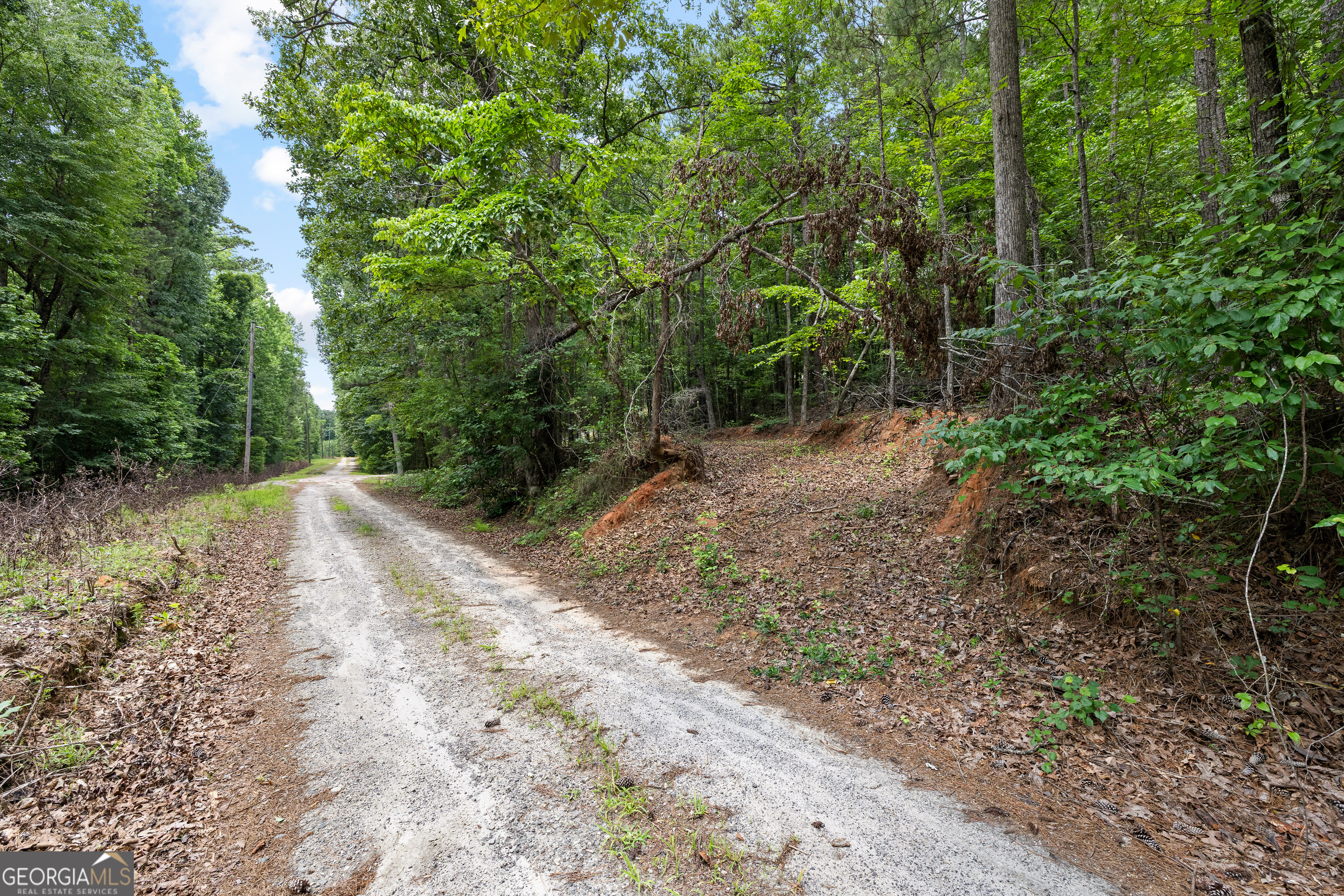 0 Terry Road Fairburn, GA 30213 - Photo 21 of 22