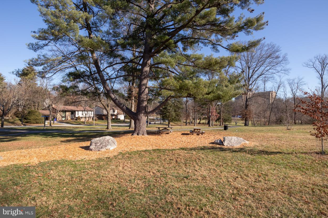 5243 West Running Brook Road, Unit 202 Columbia, MD 21044 - Photo 12 of 41