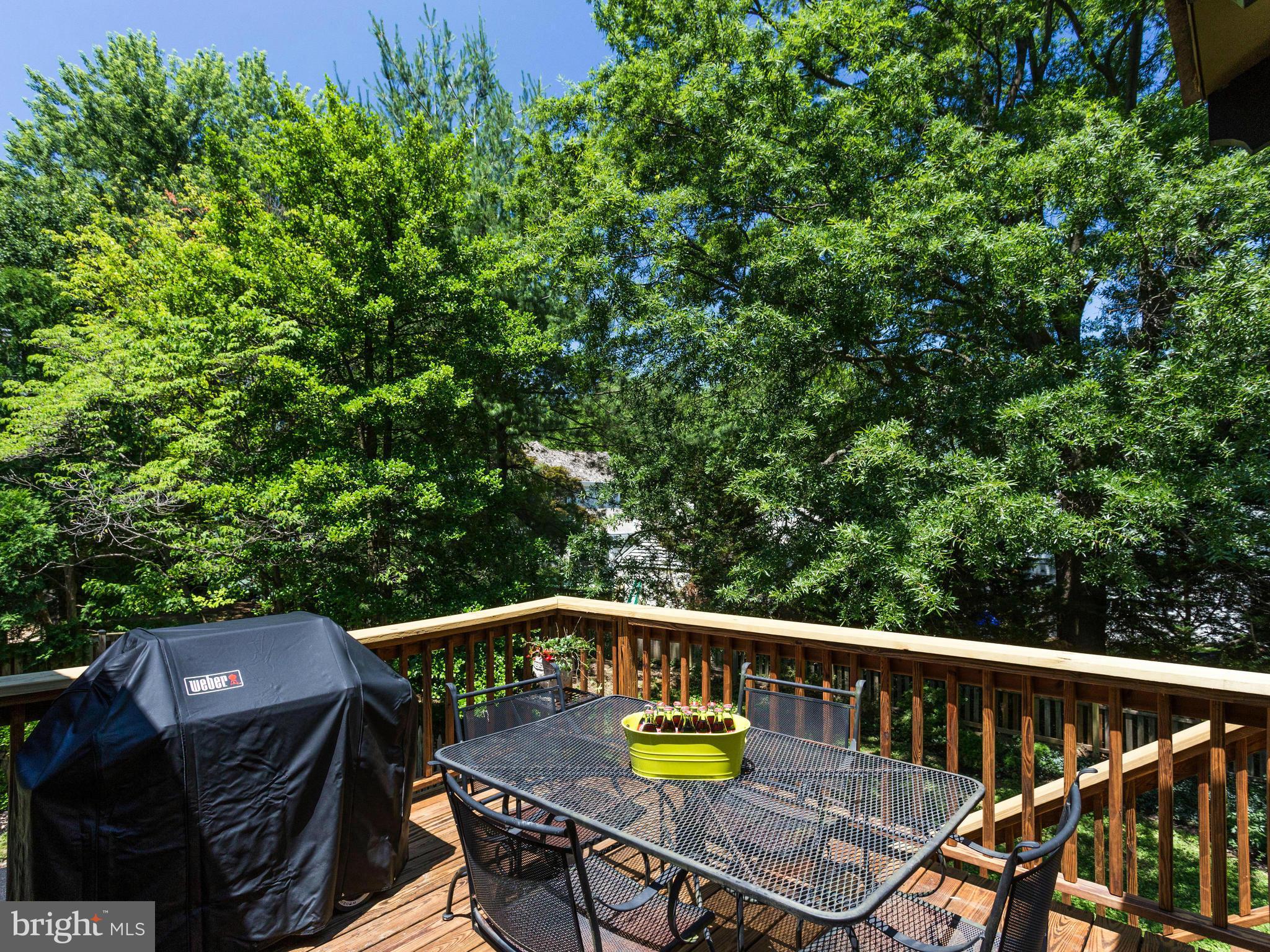 5605 Parkston Road Bethesda, MD 20816 - Photo 27 of 28 Exterior (Rear)
