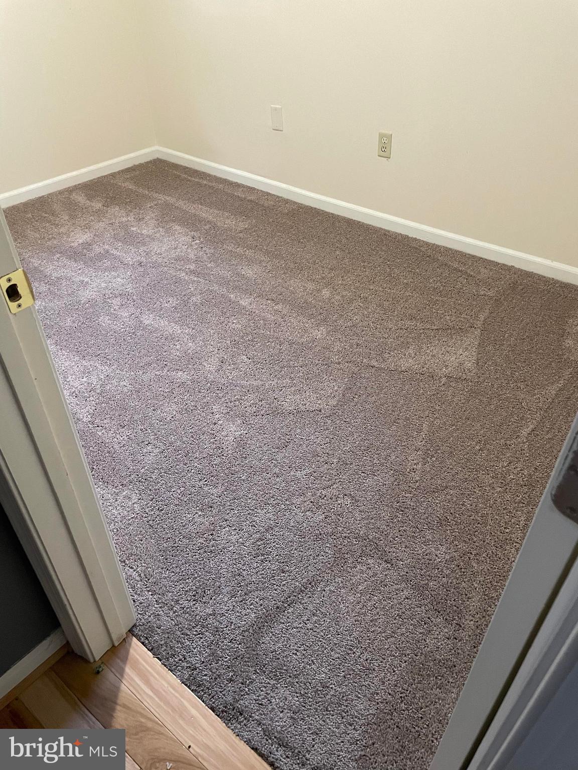 16064 Waterloo Road Amissville, VA 20106 - Photo 13 of 14 New Carpet installed