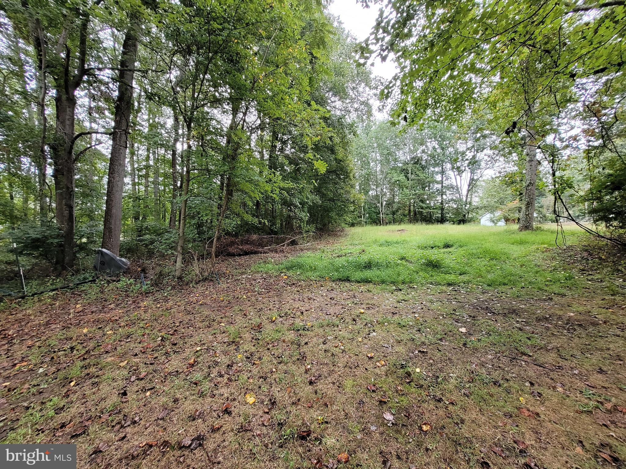 16064 Waterloo Road Amissville, VA 20106 - Photo 4 of 14 1.98 Acres
