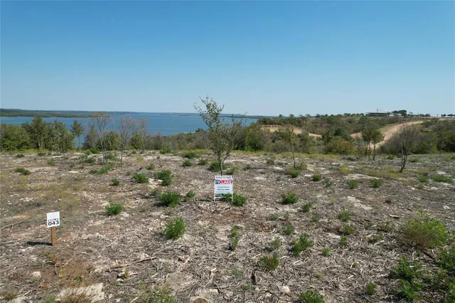 a view of a dry yard with trees