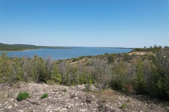 a view of a large body of water with lots of trees in the background