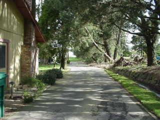 11 Everett Road Petaluma, CA 94952 - Photo 4 of 7 A shady glade to the right of the house