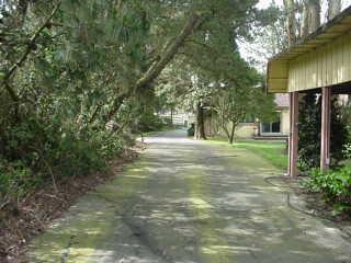 11 Everett Road Petaluma, CA 94952 - Photo 6 of 7 Long driveway