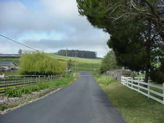 11 Everett Road Petaluma, CA 94952 - Photo 7 of 7 quiet country lane leads home