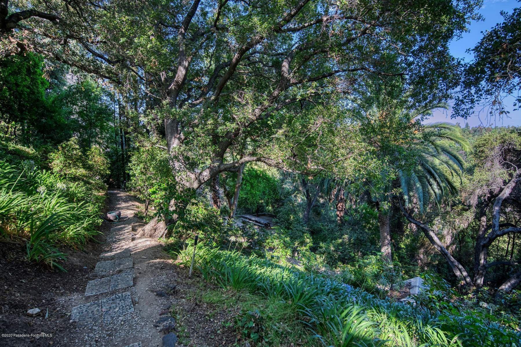 400 South San Rafael Avenue Pasadena, CA 91105 - Photo 41 of 49 a view of a forest with lots of trees