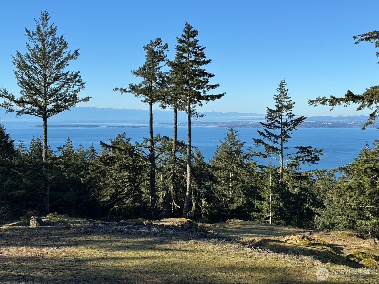 30 Rascal Road Friday Harbor, WA 98250 - Photo 16 of 20