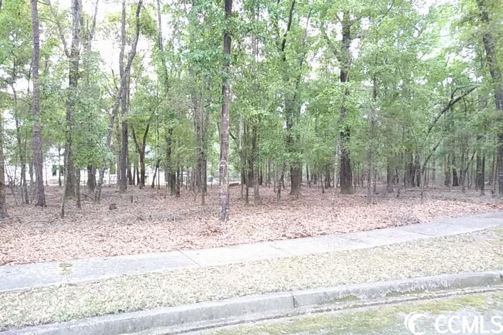 Tbd Madison Drive Georgetown, SC 29440 - Photo 2 of 6 Gallery Image 2