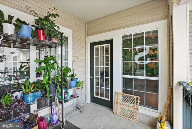 a view of front door and potted plant