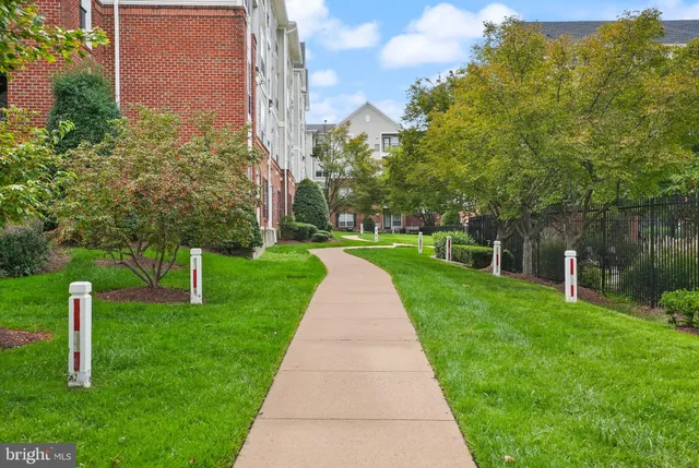 a view of a park with large trees